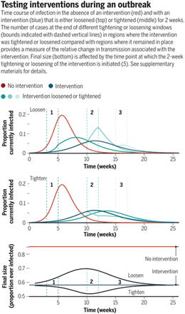 Which Interventions Work Best In A Pandemic?