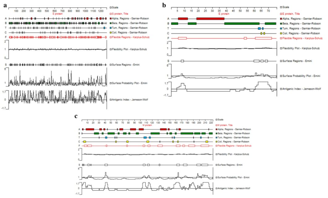 B Cell Epitopes of SARS-CoV-2 Protein