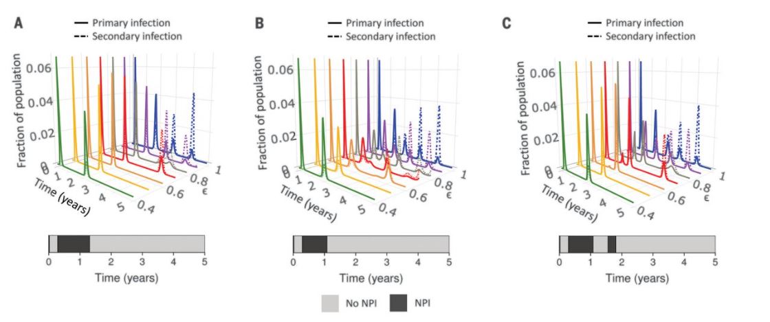 Next 5Y Immune, Vaccine and SARS-CoV-2 Dynamics