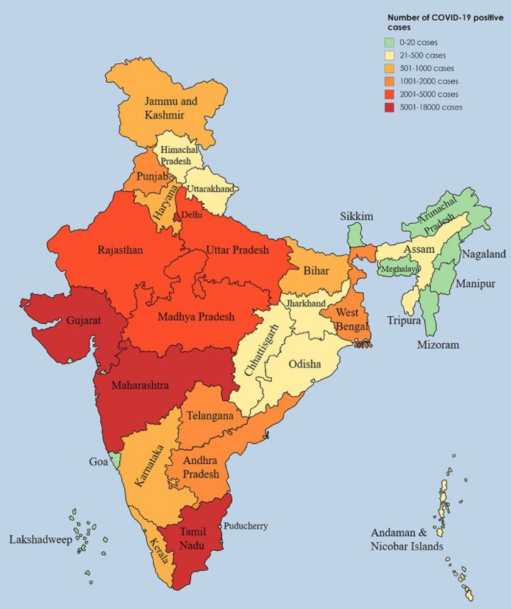 Rise & Impact of COVID In India