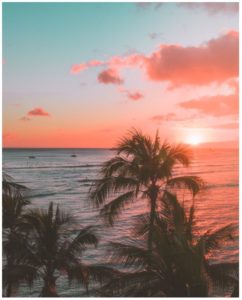 Lanai, HI – Incomparable, And Ellison’s