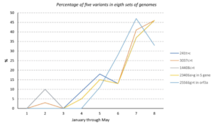 SARS-CoV-2 Variants & Mutations