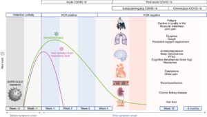 Post-Acute COVID Syndrome