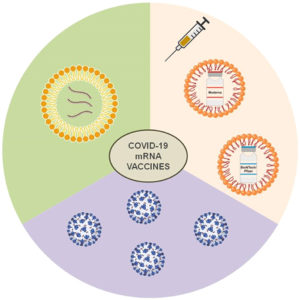 Role Of Nanotechnology In COVID Vaccines