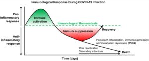 Persistent Post-COVID Syndrome Timeline