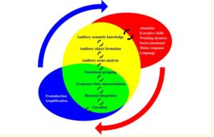 Hearing And Dementia
