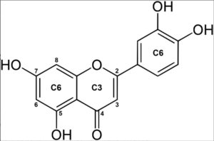 Luteolin Skin Aging & Inflammation