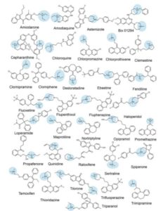 Phospholipidosis &  Drug Repurposing For COVID