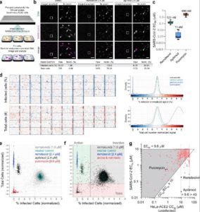 Drug Repurposing For COVID