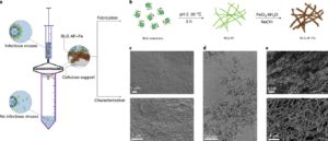 Antiviral Made Of Protein Nanofibrils & Iron Oxyhydroxide Nanoparticles