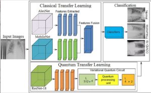 How COVID Variants Are Classified