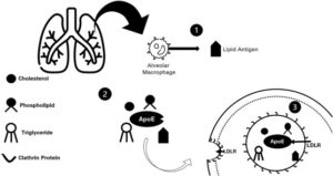 Apoe Locus On Poor Prognosis Of COVID