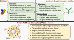 Breakthrough In The Fight Against Cancer