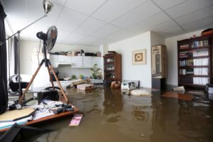 Dutch On Flood High Alert