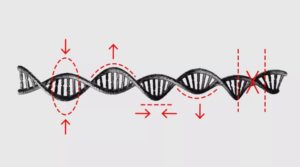 GRISPR Gene Editing Milestone.