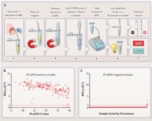 Detection Of COVID By Sherlock One-Pot Testing