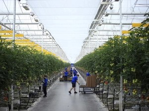 Add Water & Technology