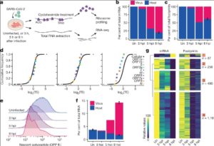 Masitinib Is A Broad 3CL Inhibitor That Blocks Replication Of COVID