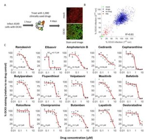 COVID Uses Multipronged Strategy To Impede Host Protein Synthesis