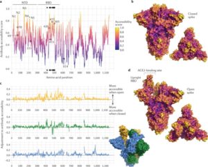 COVID Variants, Spike Mutations & Immune Escapes