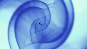 AI Detects Gravitational Waves