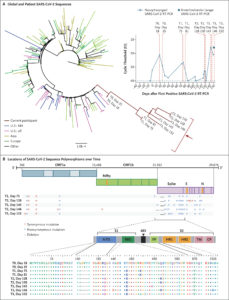 COVID Persistence & Evolution In Immunocompromised