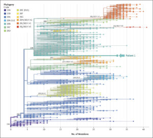 Vaccine Breakthrough Infections By Variant