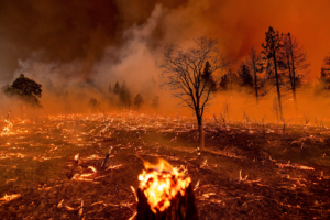 – California Wildfire –