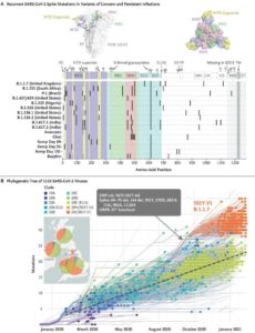 COVID Variants In Patients With Immunosuppression