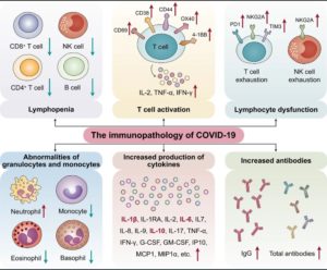 Immunopathogenesis & Immunotherapeutics