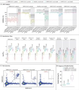 Neutralizing Antibodies in BNT162b2