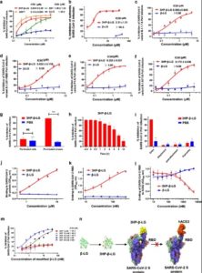 Anti-HPV To Prevent And Treat COVID Infection