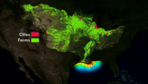 TX LA Gulf of Mexico Dead Zone Update