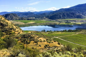 Wine Tour Okanagan Valley