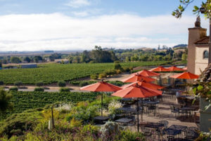 Inspiration: Sonoma (& Napa), CA