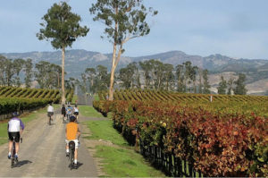 Wine Tour Russian River’s Pinot Noir