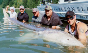 World’s Largest Freshwater Fish – Near Vancouver, BC