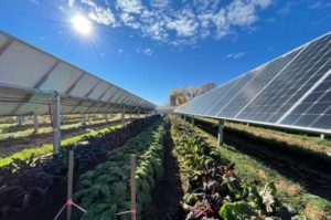 Colorado Solar Garden Is Produce + Energy