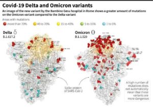 WHO: Omicron “Very High Risk” – World Races To Contain Omicron