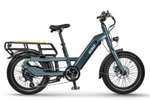 Electric Cargo Bike