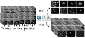 AI-powered Image Classifier For Cell Biologists