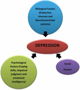 Depression’s Oxidative Stress & Inflammation