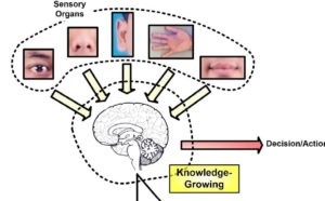 Brain-Inspired Intelligent Computation In AI.