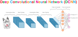 Deep Convolutional Neural Networks
