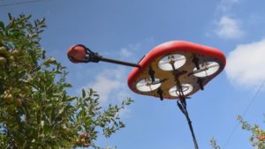 Drones For Fruit Farmers