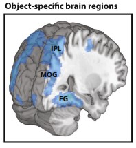 Human Neuroscience And Social Bots