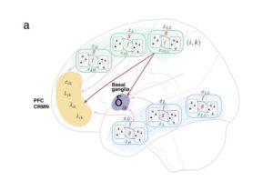 Neural Networks And Metacognitive AI