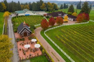 Okanagan – Oliver Vineyards