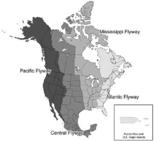 2022 Highly Pathogenic Avian Influenza