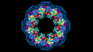 AI Does 3D Protein Folding From Linear ACGT Sequences